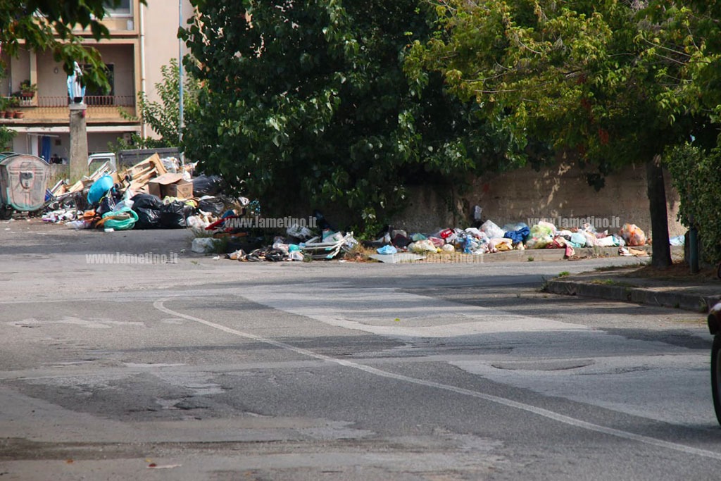 Soluzione Abbandono Rifiuti a Lamezia: Un Urgente Bisogno di Intervento